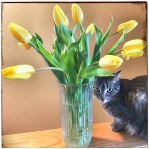 Meet your Posher, Marsha